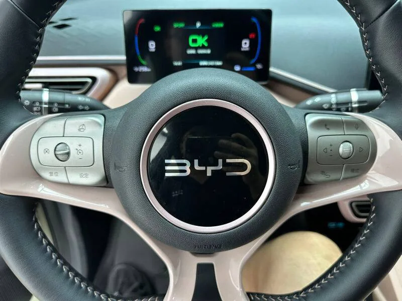 BYD Seagull Honor 405km Flying Edition 2024 фото 4