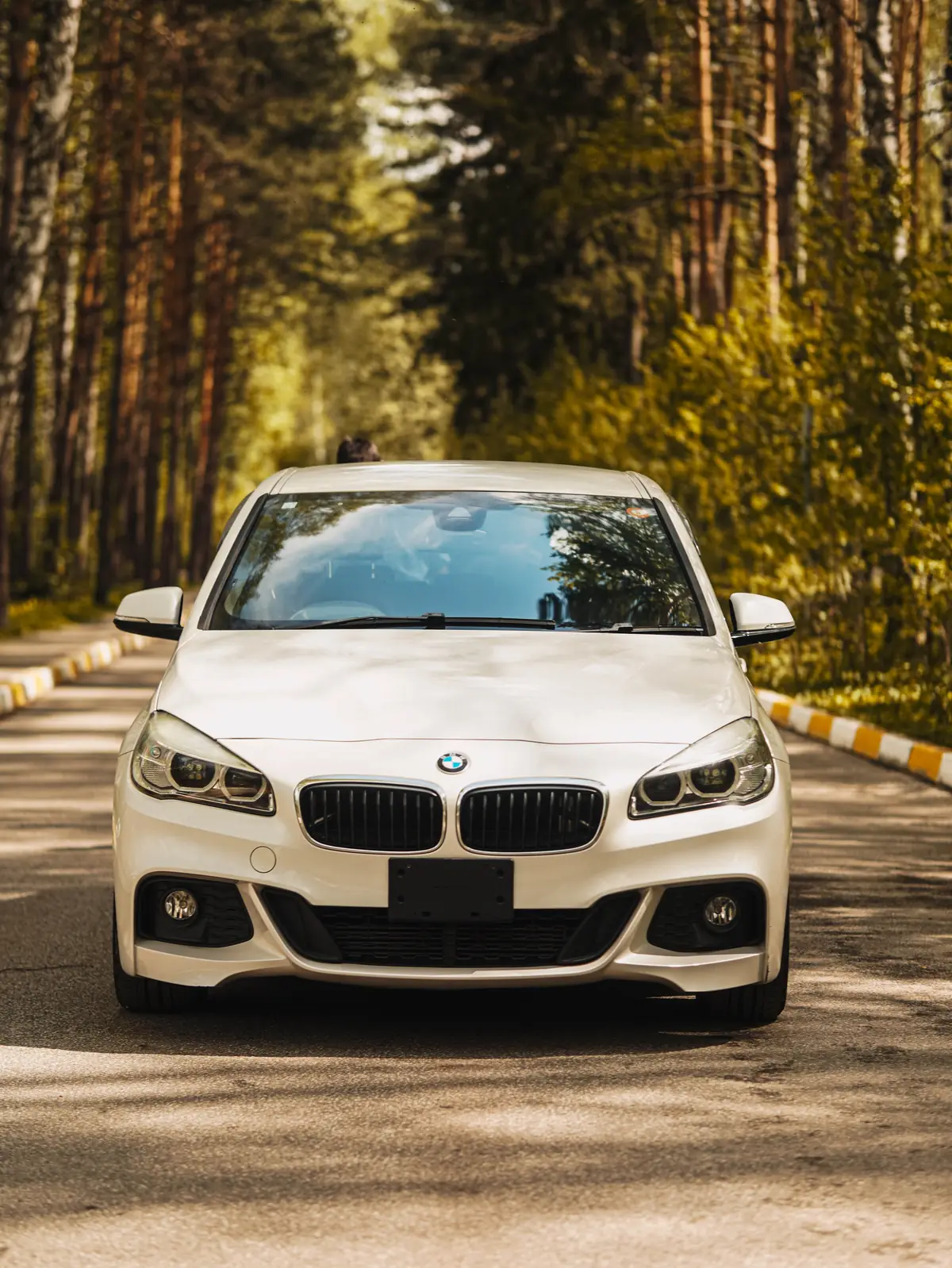 BMW 218i Active Tourer M Sport 2015