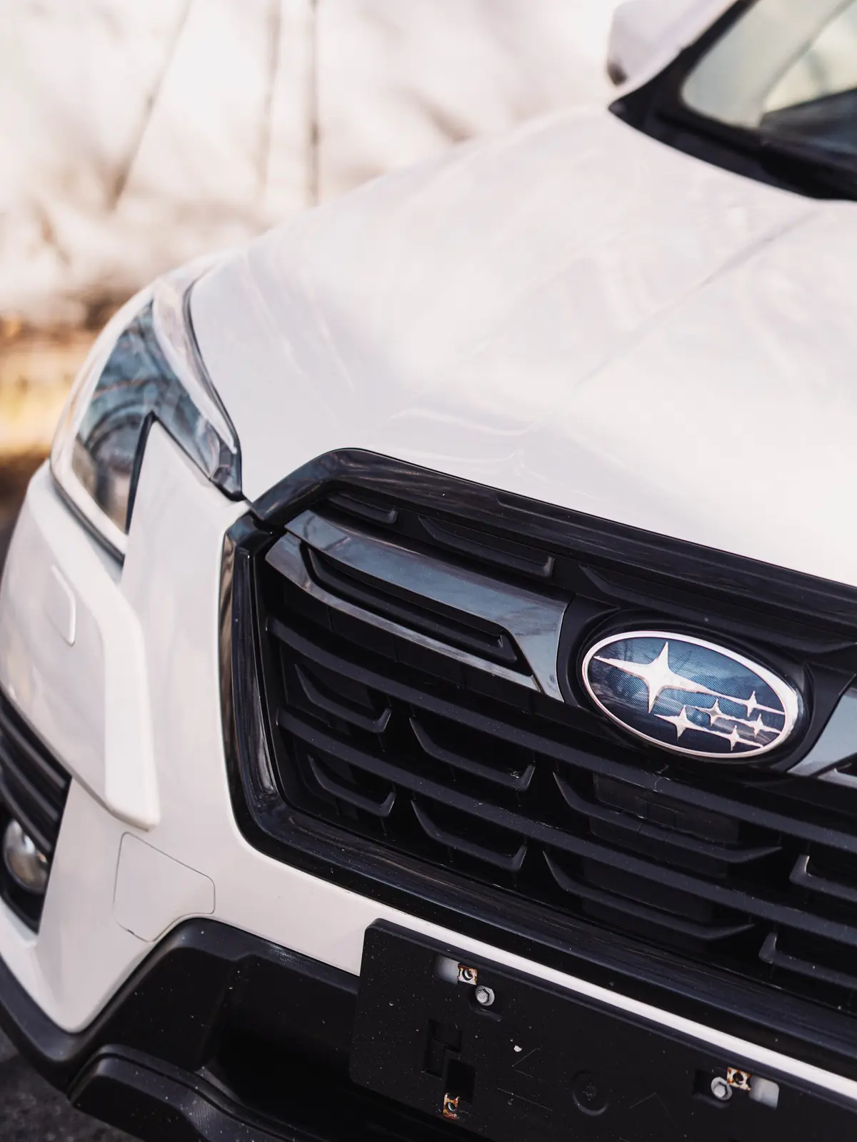 Subaru Forester Luxury Edition