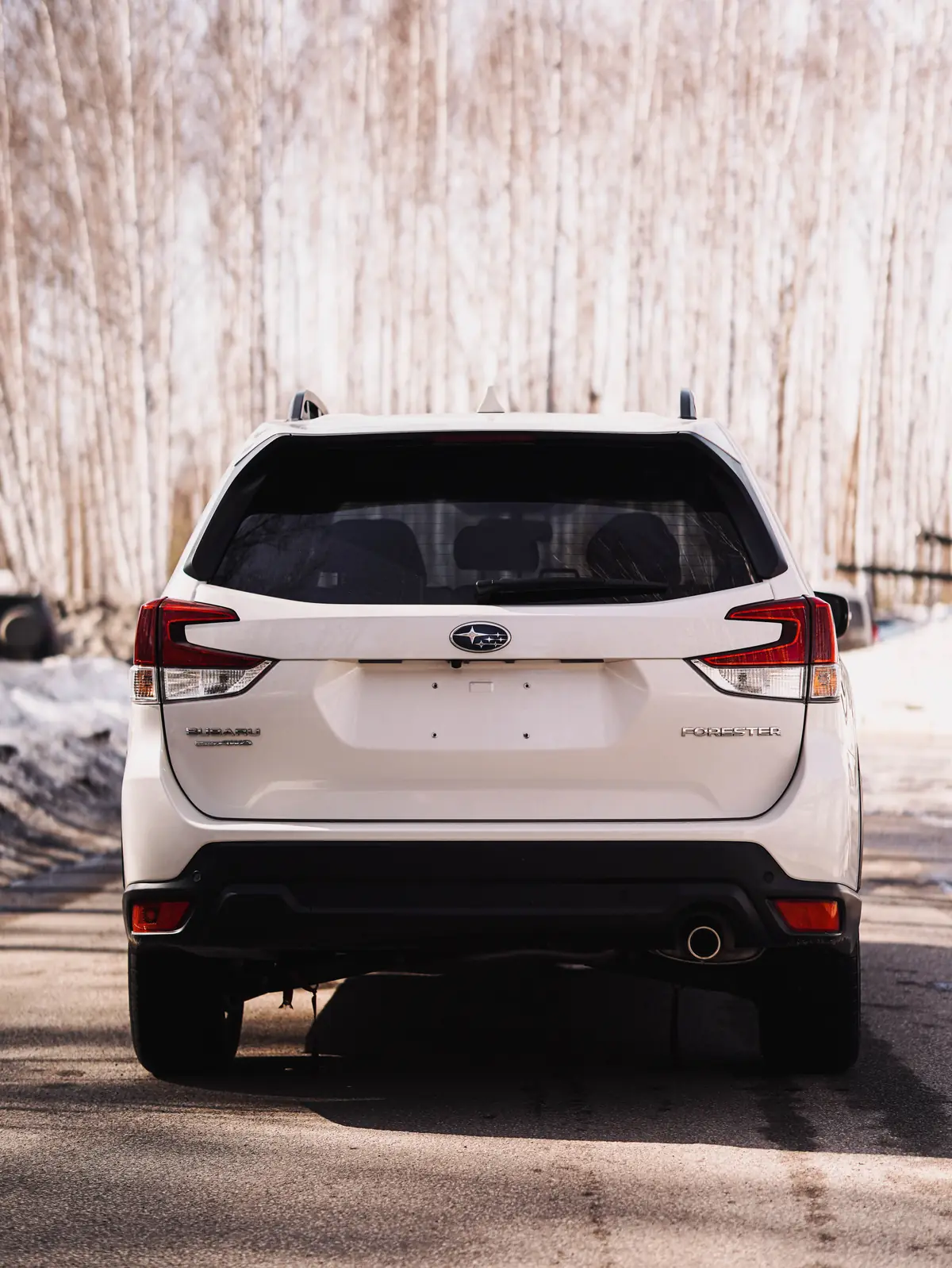 Subaru Forester Luxury Edition